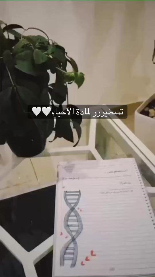 TikTok video thumbnail by daftarartt