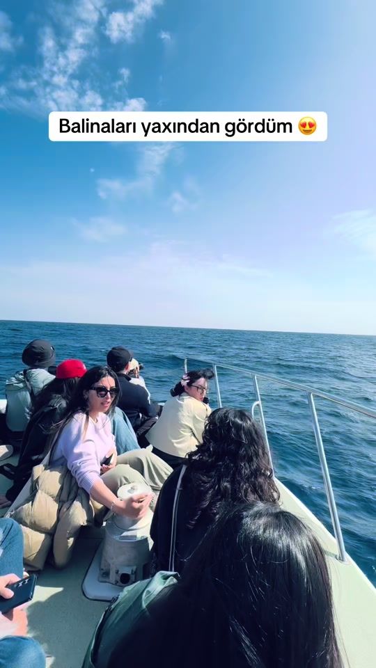 TikTok video thumbnail by ayszahid