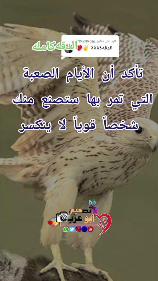 TikTok video thumbnail by alhadu32