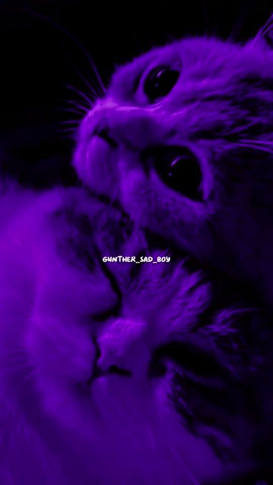 TikTok video thumbnail by gunther_sad_boy