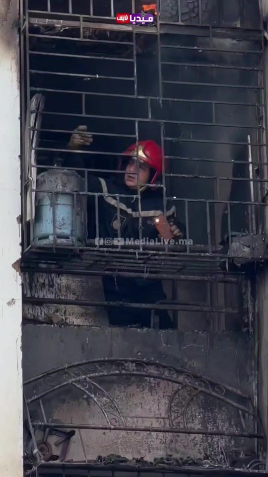 TikTok video thumbnail by medialivee