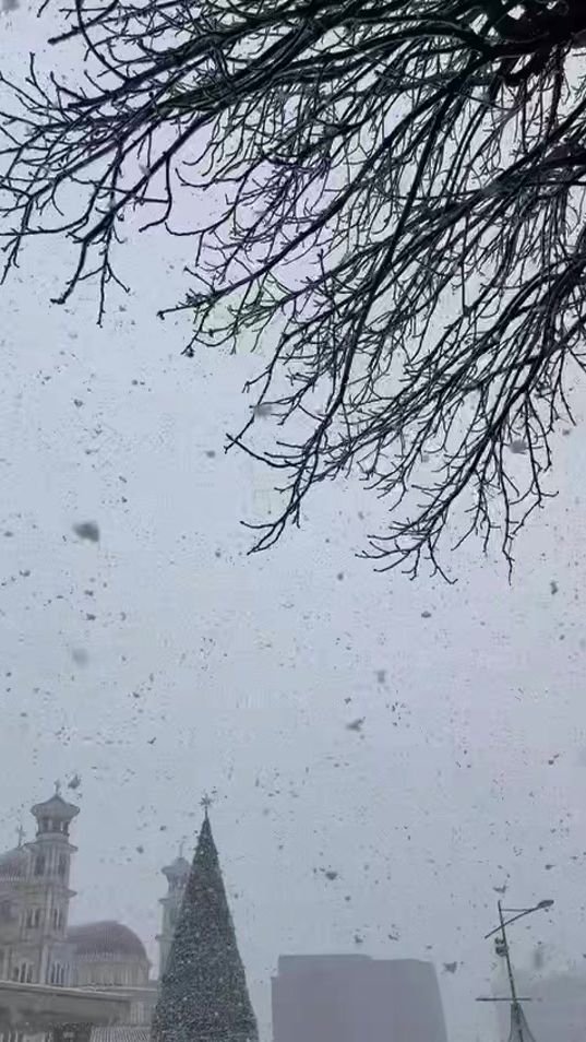 TikTok video thumbnail by sofia_jtg