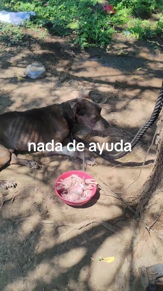 TikTok video thumbnail by hogar082