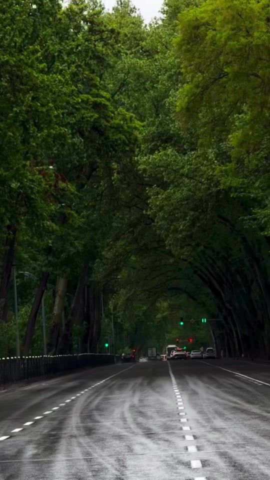 TikTok video thumbnail by yusuf_09_09
