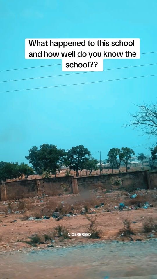 TikTok video thumbnail by nigerbreed