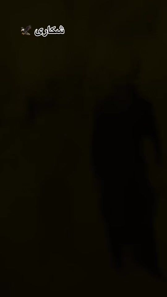 TikTok video thumbnail by abubakargarwan_bwp