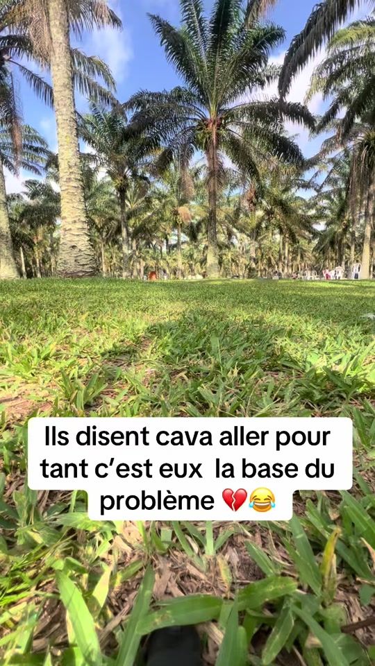 TikTok video thumbnail by novak_manou