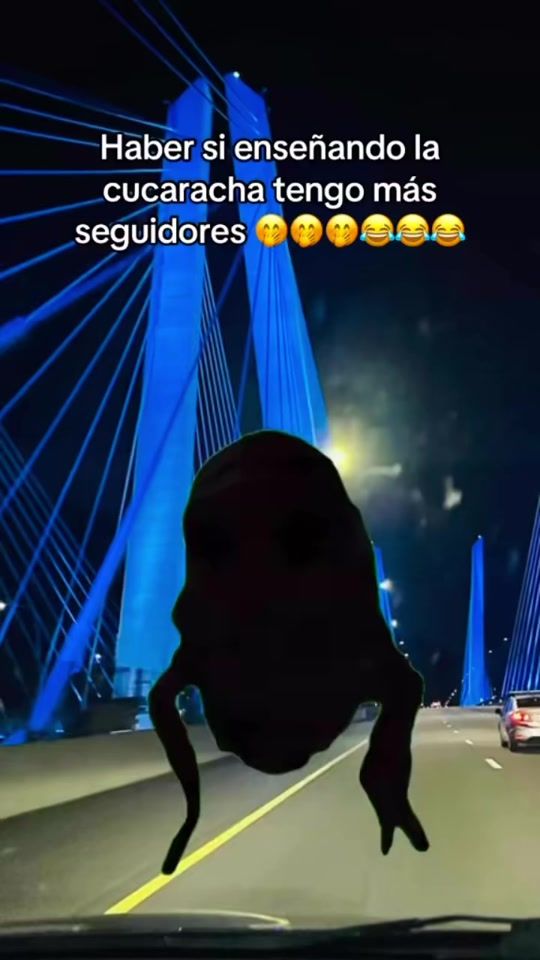 TikTok video thumbnail by jmgp967