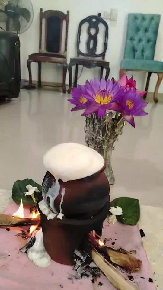 TikTok video thumbnail by surendraperera8