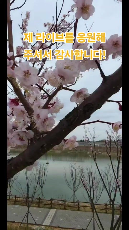 TikTok video thumbnail by kst7320