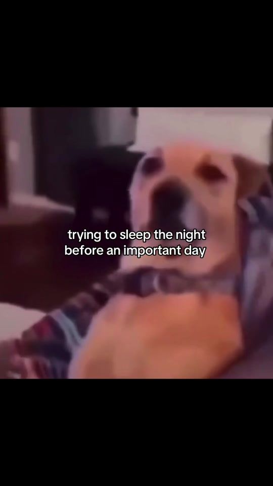 TikTok video thumbnail by gneishvilizz