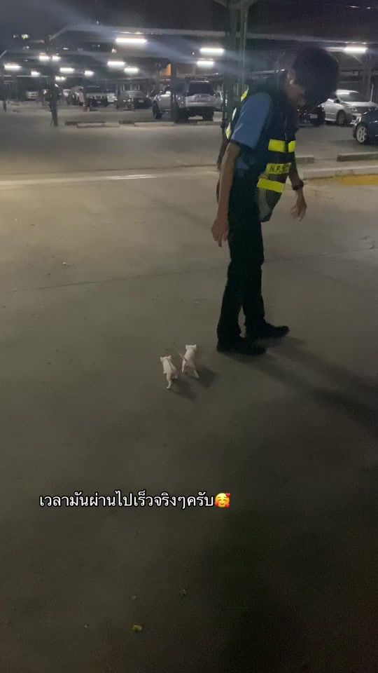 TikTok video thumbnail by aa_dd_27