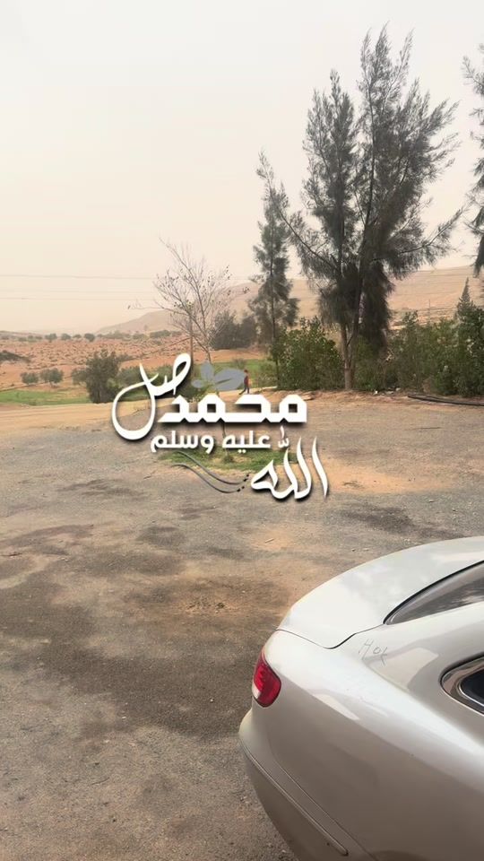TikTok video thumbnail by sarasro967