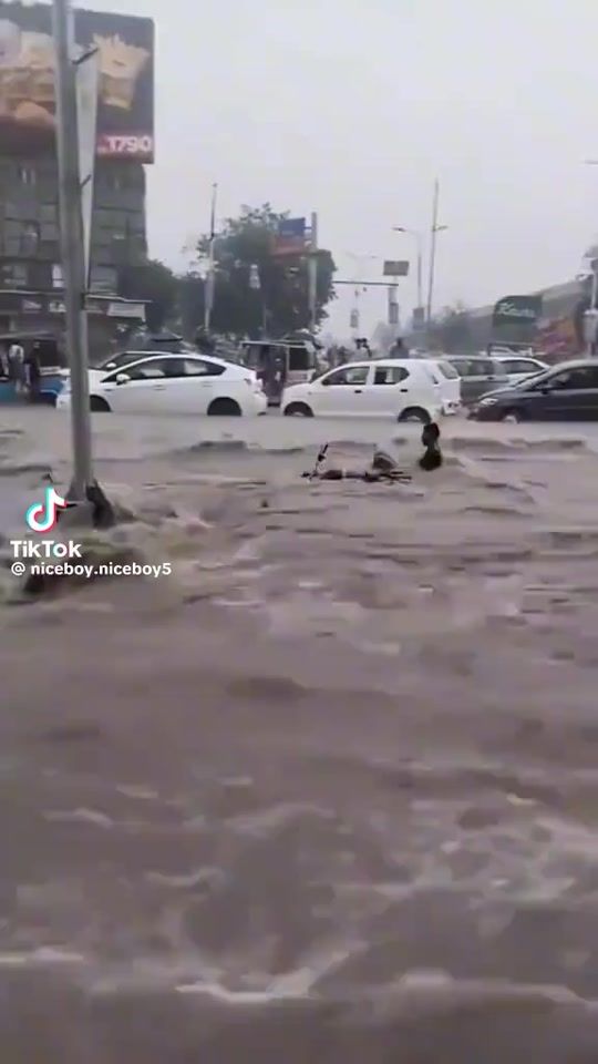 TikTok video thumbnail by gembo.dorji61
