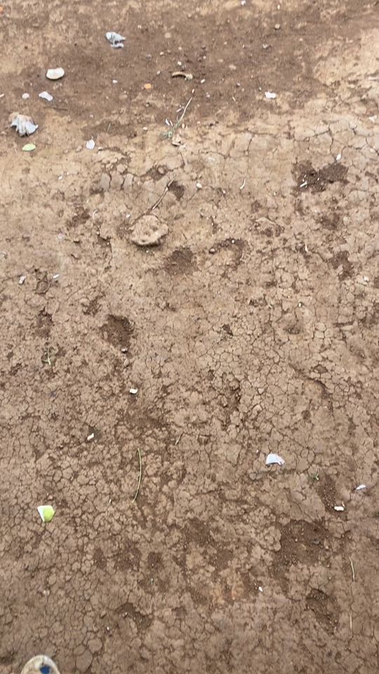 TikTok video thumbnail by tenguyen82
