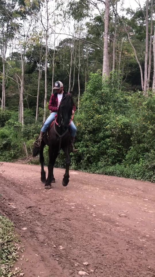 TikTok video thumbnail by cuadramurcia