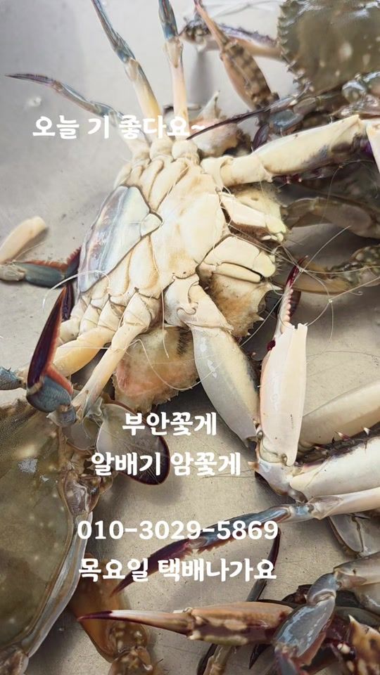TikTok video thumbnail by eundal11