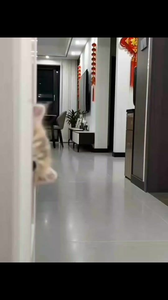TikTok video thumbnail by sepelevdmitri