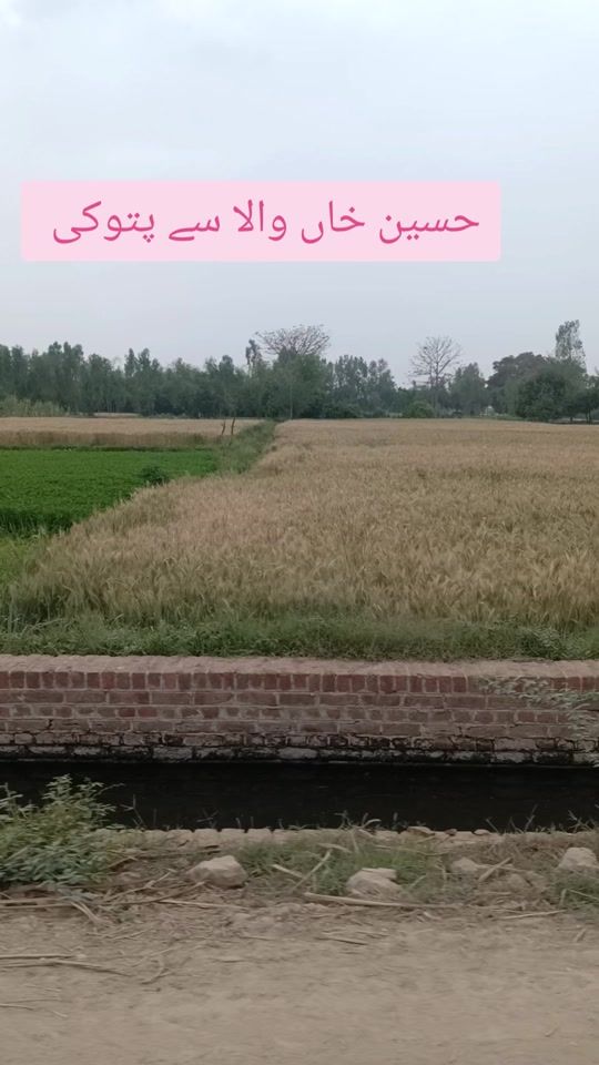 TikTok video thumbnail by my_pattoki