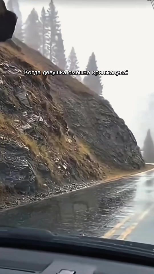 TikTok video thumbnail by bulbanews