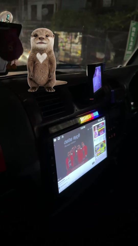 TikTok video thumbnail by sj_modify