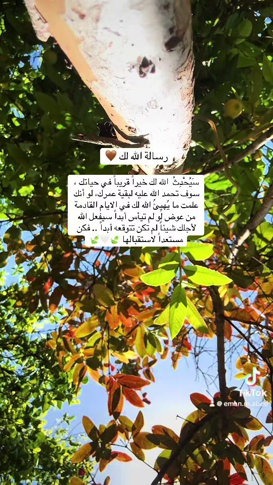 TikTok video thumbnail by eman.m.abed