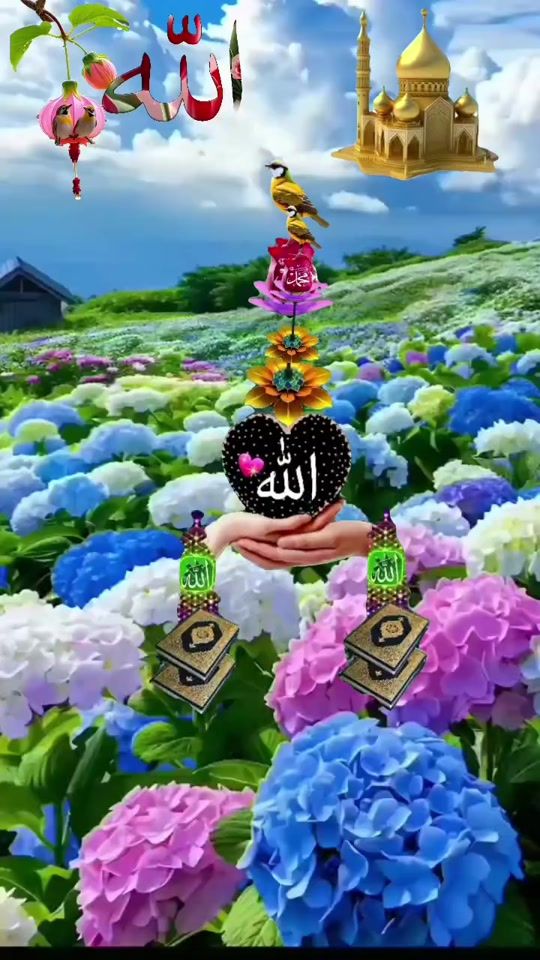 TikTok video thumbnail by rahman71937