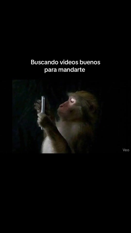 TikTok video thumbnail by tuchanguito_sv