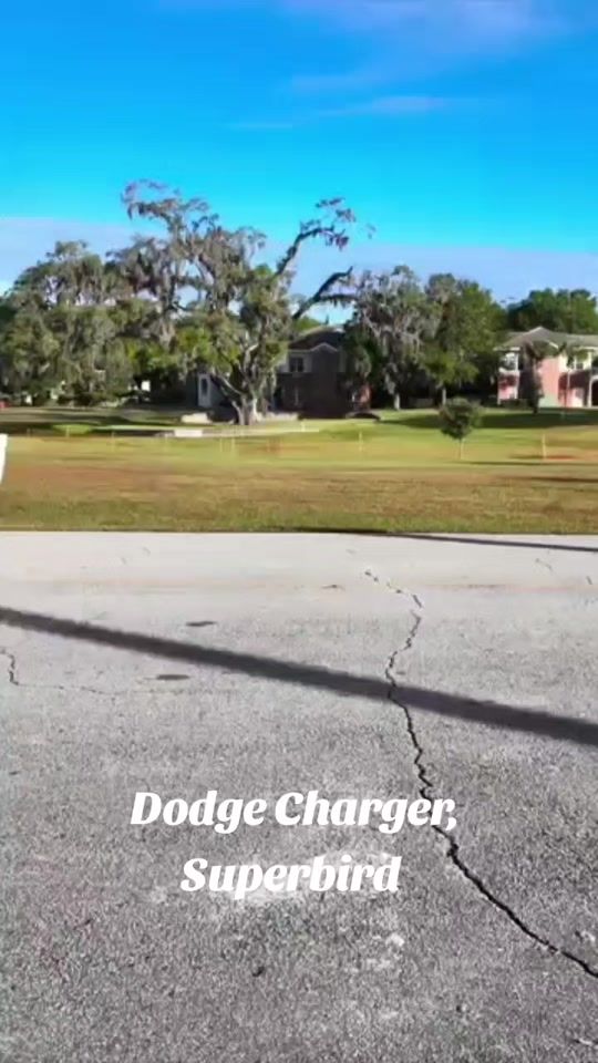 TikTok video thumbnail by ronaldpaul45