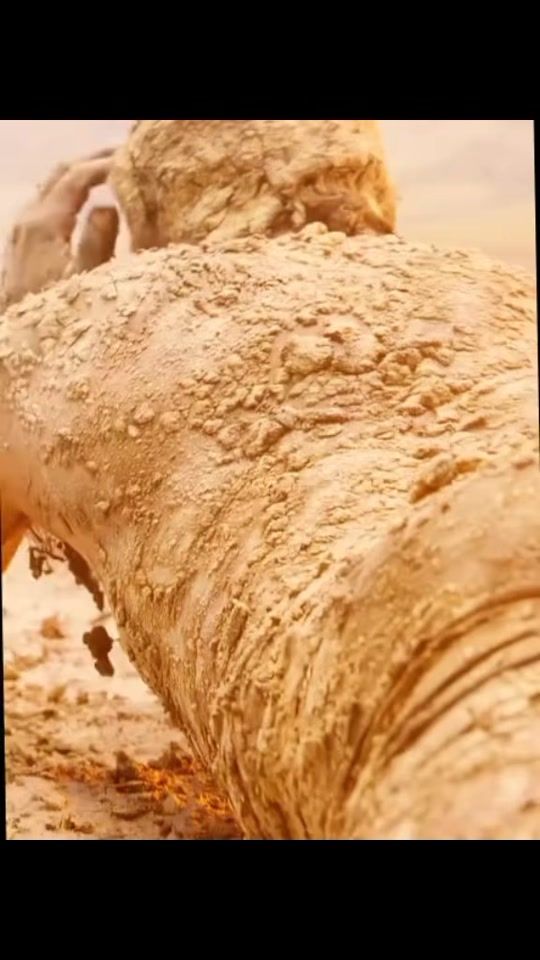 TikTok video thumbnail by m..t5259