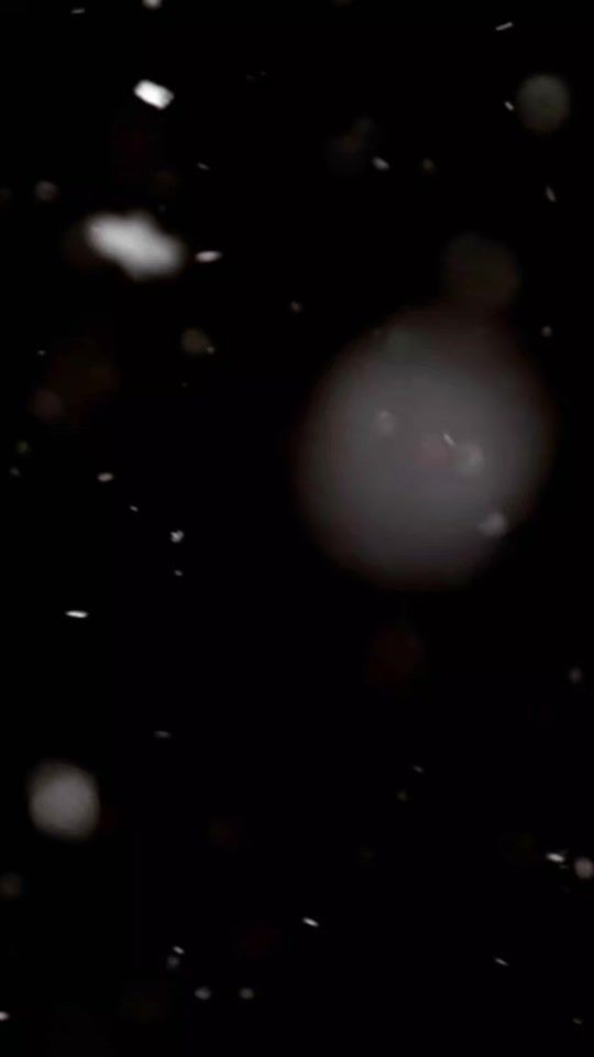 TikTok video thumbnail by armandolopez15186