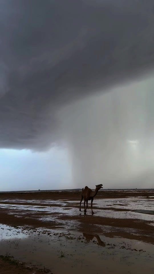TikTok video thumbnail by az.vl