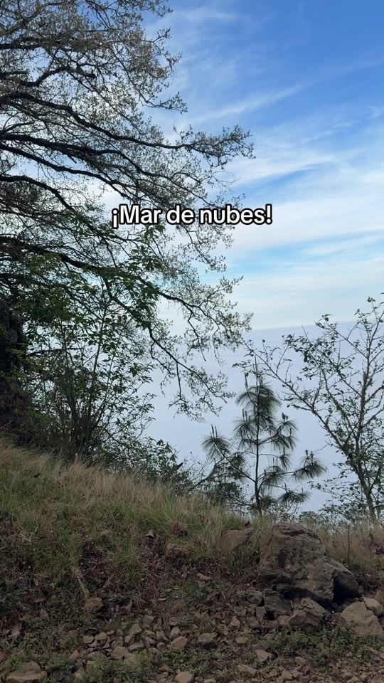 TikTok video thumbnail by viejocusco