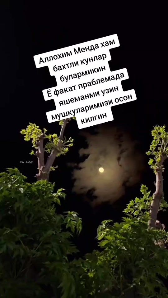 TikTok video thumbnail by useroesham
