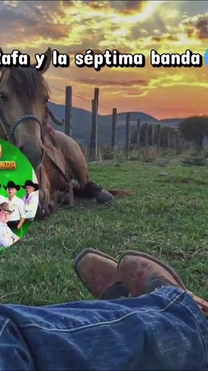 TikTok video thumbnail by fiestapopular26