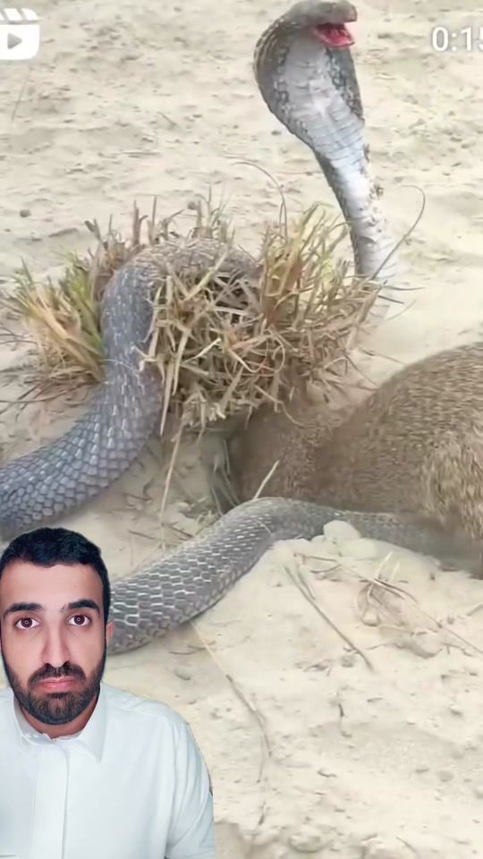 TikTok video thumbnail by s5s5_3