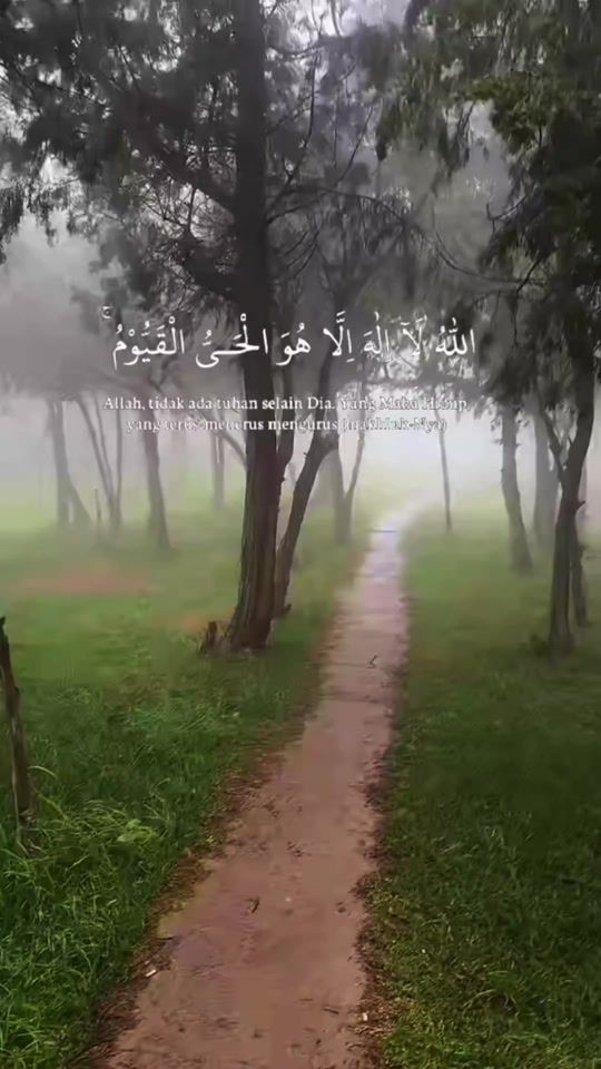 TikTok video thumbnail by q_u_r_a_n002