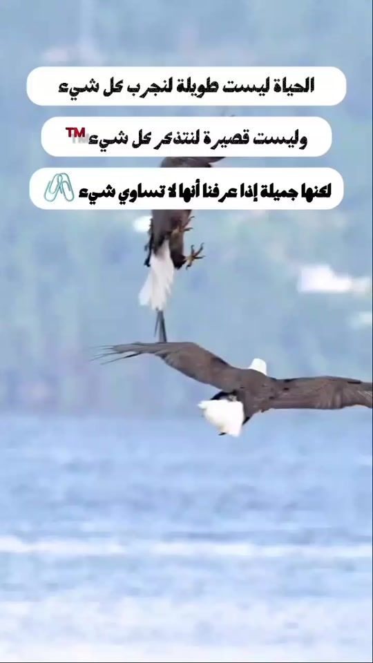 TikTok video thumbnail by fi_249_925