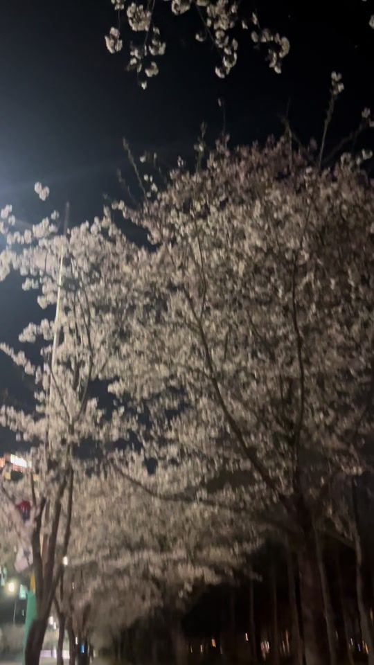 TikTok video thumbnail by mz_ech