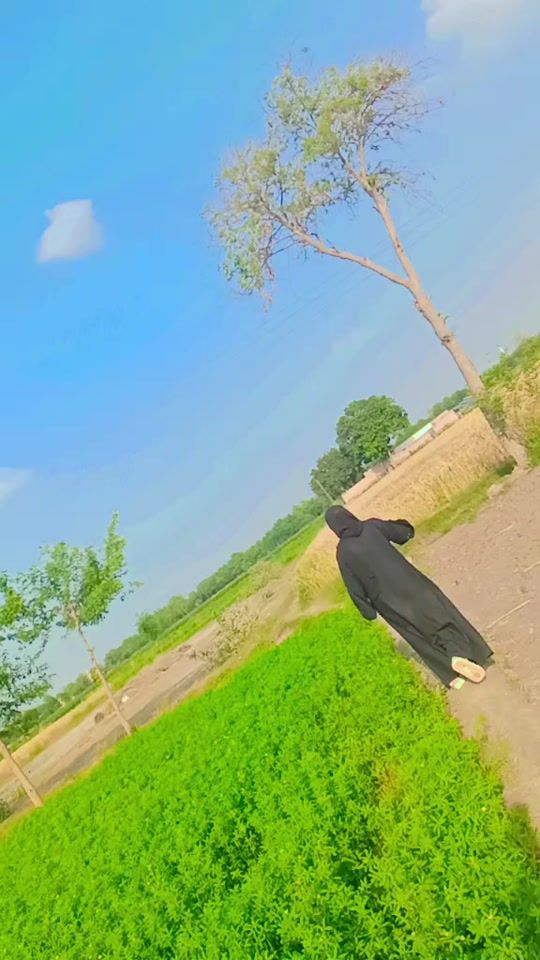 TikTok video thumbnail by parveen.butto