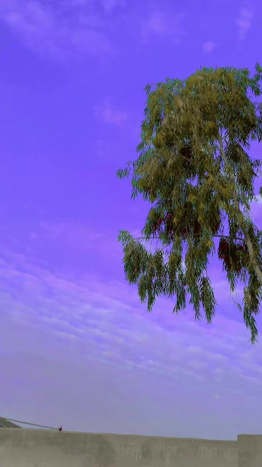 TikTok video thumbnail by amber.5384