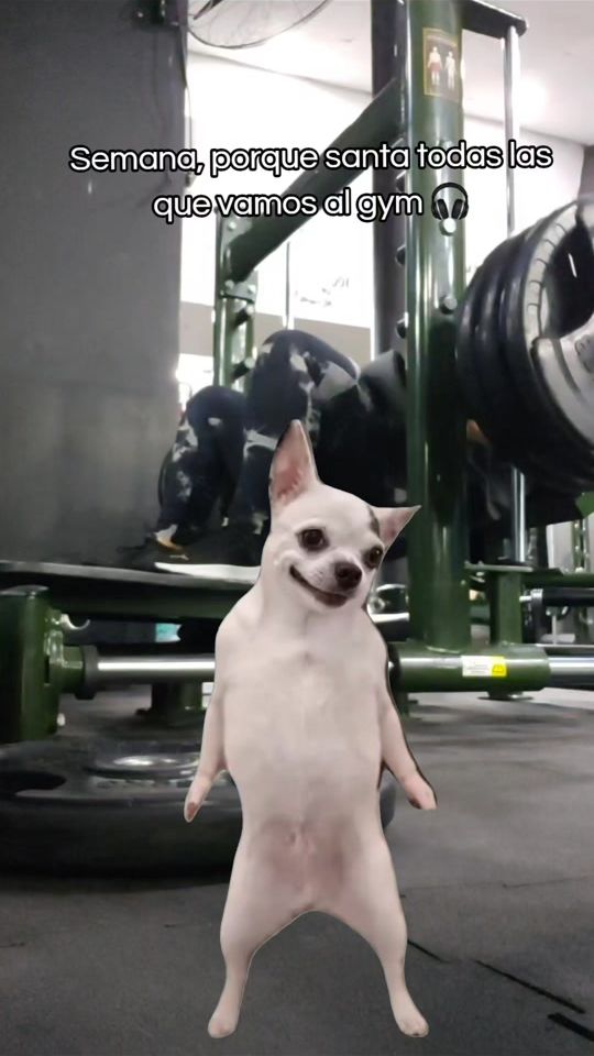 TikTok video thumbnail by andreinatoro07