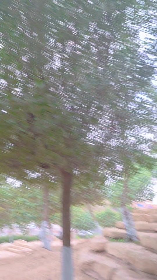 TikTok video thumbnail by adam_khan._