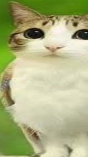 TikTok video thumbnail by nuggetonastick2