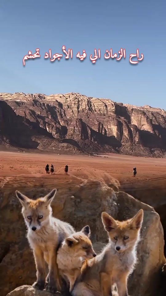 TikTok video thumbnail by jodasalem