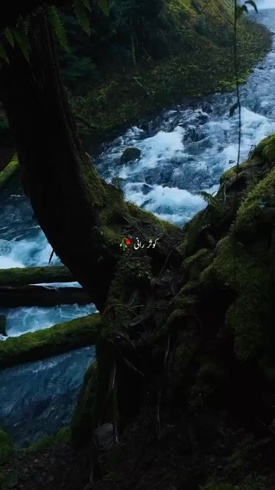 TikTok video thumbnail by kosarranii22