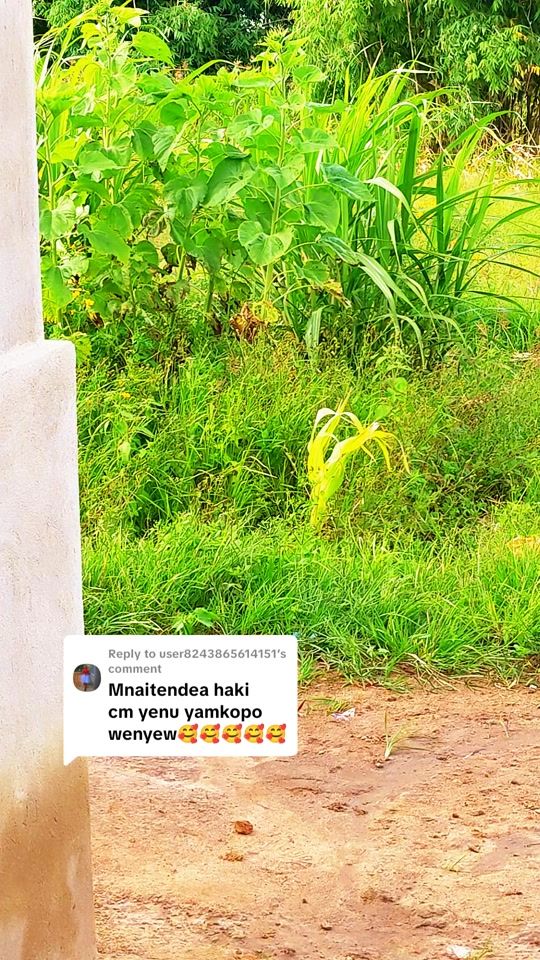 TikTok video thumbnail by ww.mavondogmail.com