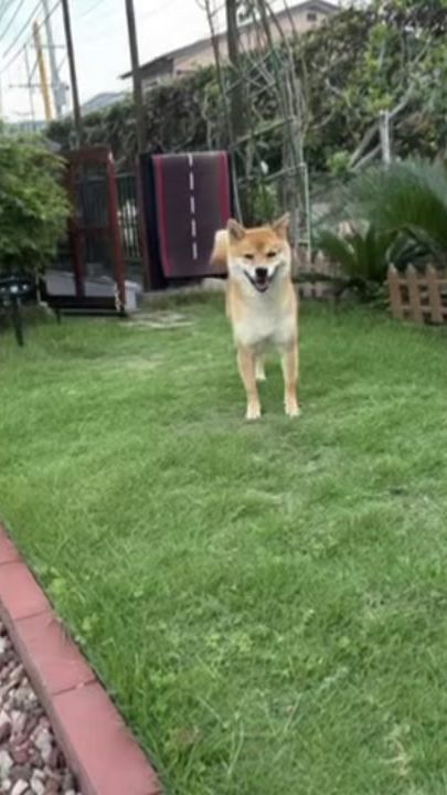 TikTok video thumbnail by yucayuca12