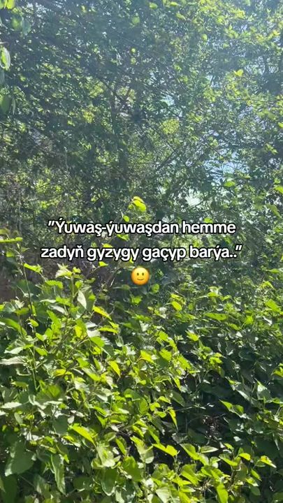 TikTok video thumbnail by allaberdiyevv2