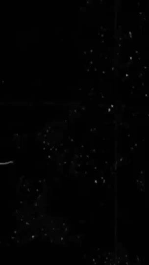 TikTok video thumbnail by auntudatta_